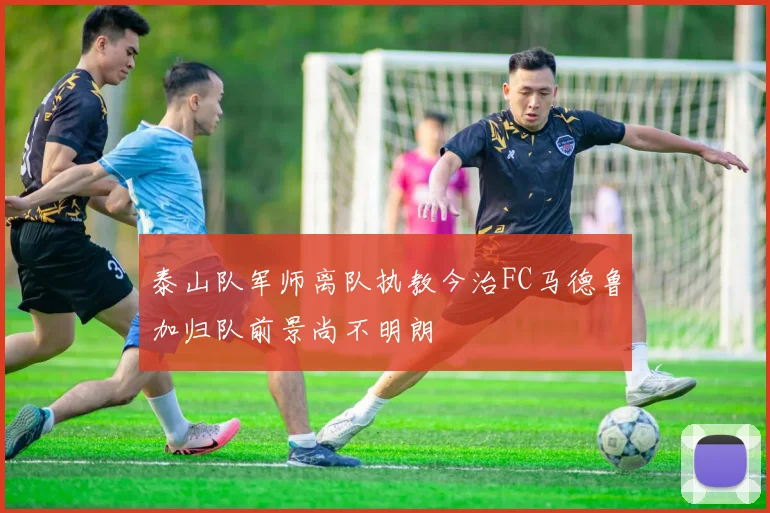 泰山队军师离队执教今治FC马德鲁加归队前景尚不明朗